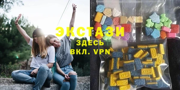 индика Алзамай