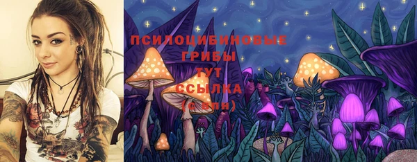 индика Алзамай