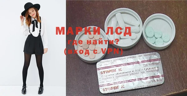 индика Алзамай