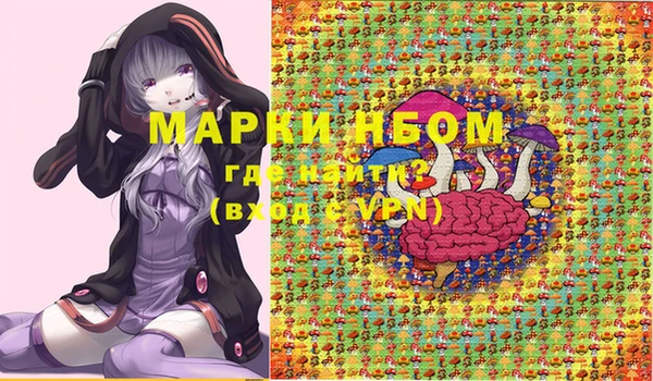индика Алзамай