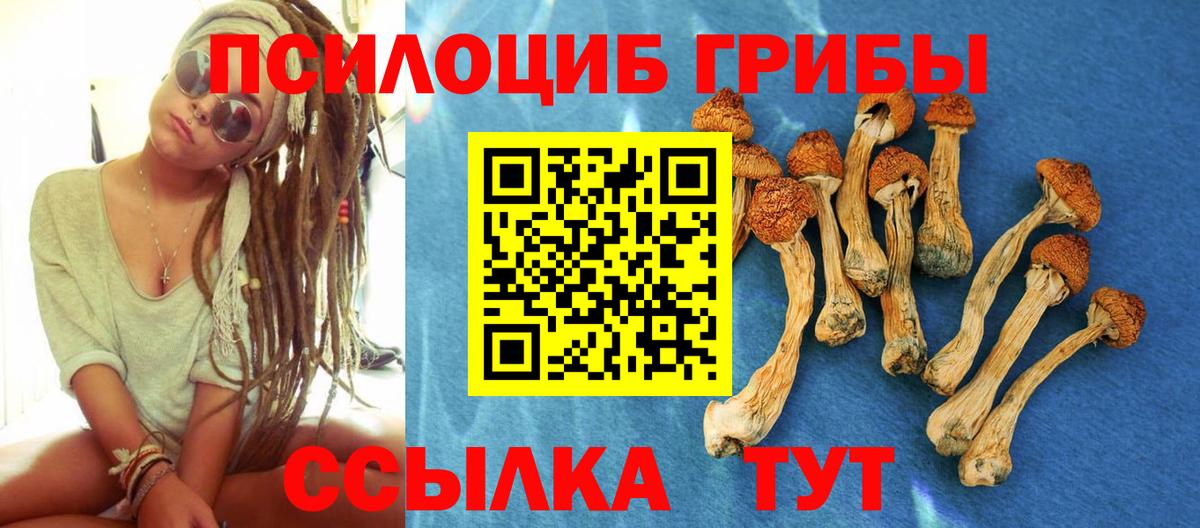 Галлюциногенные грибы мицелий  Вход с VPN  Мыски 