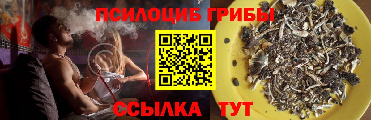 Псилоцибиновые грибы мухоморы Мыски